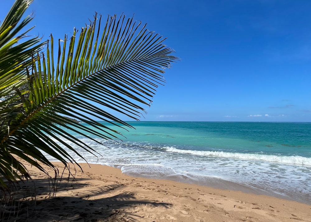 guadeloupe-strand